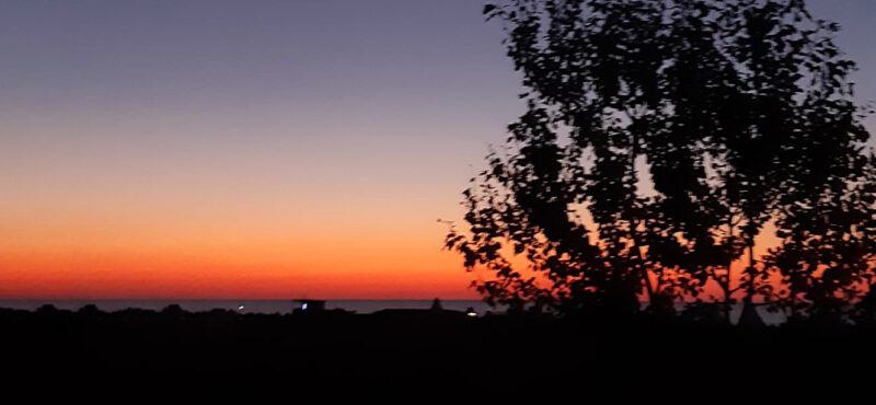 seara pe camp
