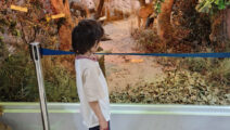 dincolo de plaja (2)